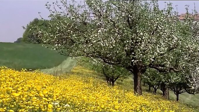 Uczennice 1977: Pełny Film Z Masturbacją Cipki I Dziewczyny